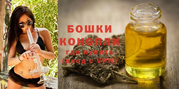 крисы Липки