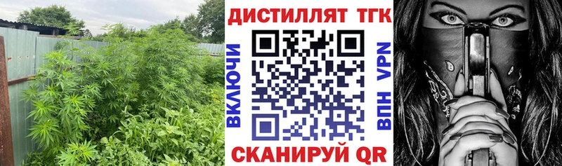 ТГК Wax  купить  цена  Орехово-Зуево 