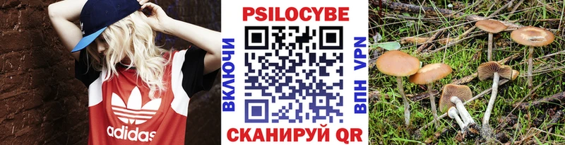 Галлюциногенные грибы GOLDEN TEACHER  Орехово-Зуево 